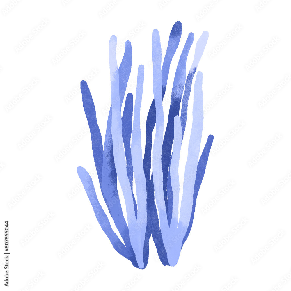 Hand drawn algae elements. Isolated illustration with seaweed. Childish watercolor illustration Hand drawn algae elements. Isolated illustration with seaweed. Childish watercolor illustration