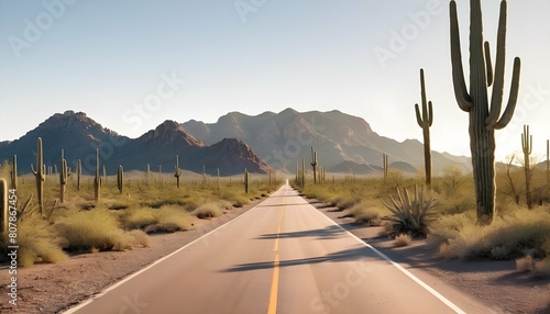 A remote desert road bordered by towering saguaro