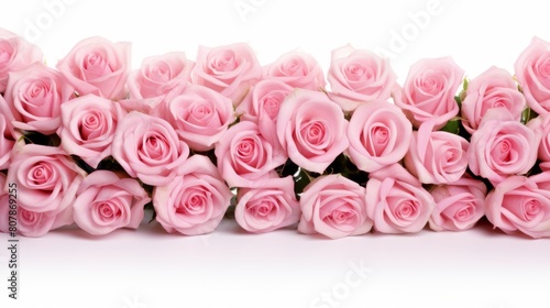 Bunch bouquet of pink roses isolated on white background panorama banner.