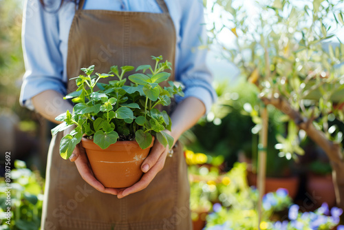 Close up a woman gardener holding a potted plant
