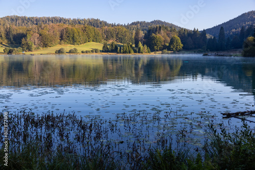 Le lac Genin est un lac de moyenne altitude du massif du Jura. Il se situe au milieu d'une forêt typiquement jurassienne. Le site est surnommé « le petit Canada du Haut-Bugey »