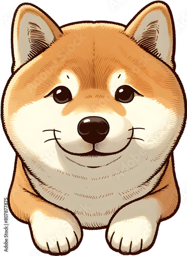 시바 이누, shiba inu, dog