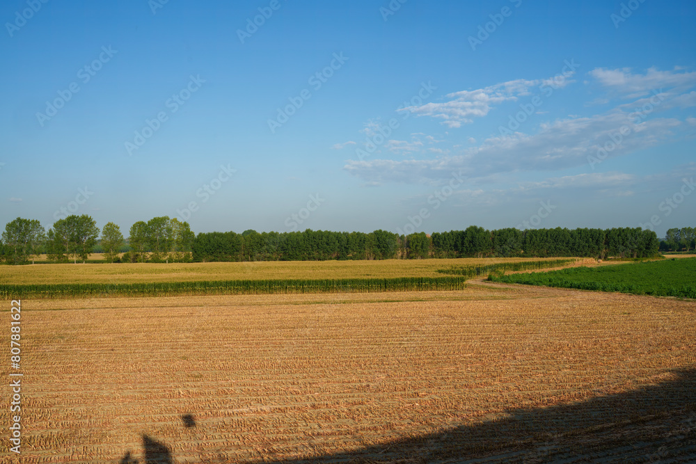 Country landscape in Lodi province, Italy, at summer