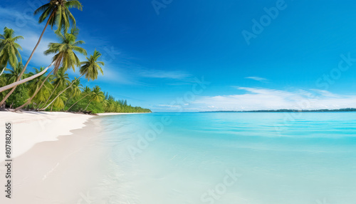 A beautiful beach with palm trees and a clear blue ocean