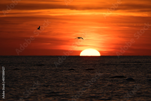 Sunset on the horizon of the Baltic Sea. Orange sun sinks into the water. Romantic © Martin