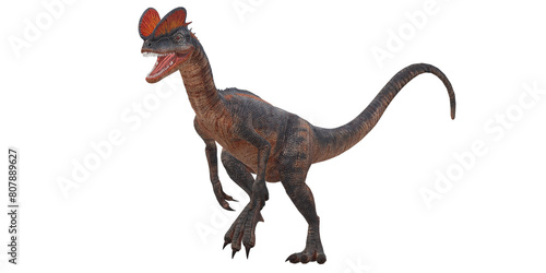 Dilophosaurus on a Transparent Background