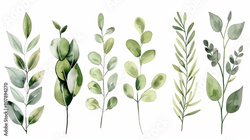 Elegant watercolor greenery collection with diverse leaf types