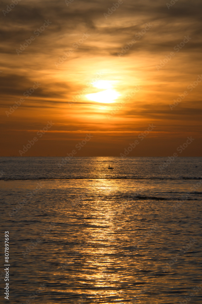Sunset, seagull in the sky. Light waves. Sparkling water. Poel island on the Baltic Sea