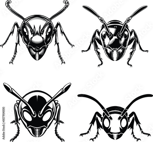 Set of ant head, vector illustration.