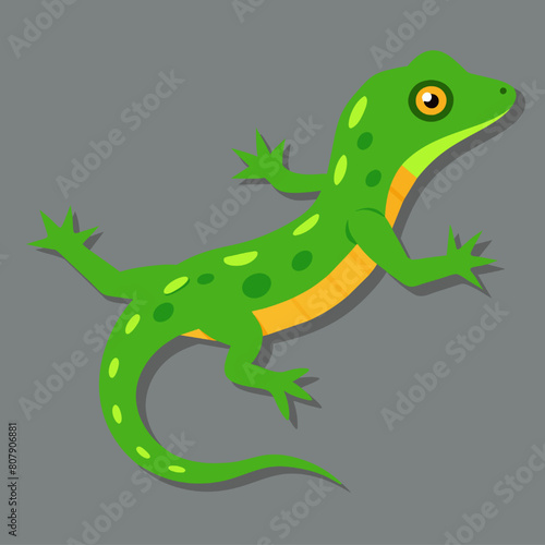 Green lizard on a gray background. Vector illustration of a lizard. © wannasak