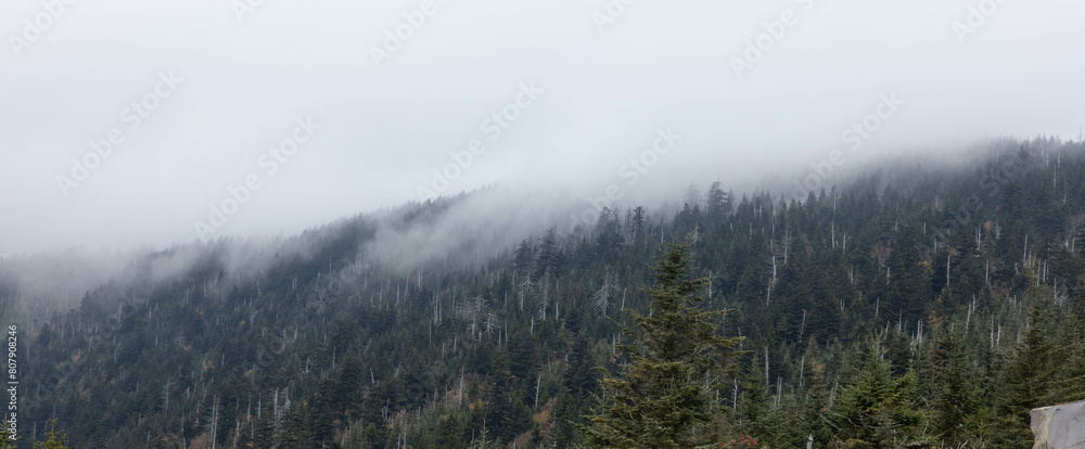 Fototapeta premium Great Smoky Mountains with low clouds