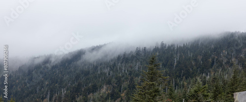 Great Smoky Mountains with low clouds © Allen Penton
