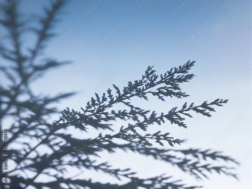Obraz premium Creative Art Background