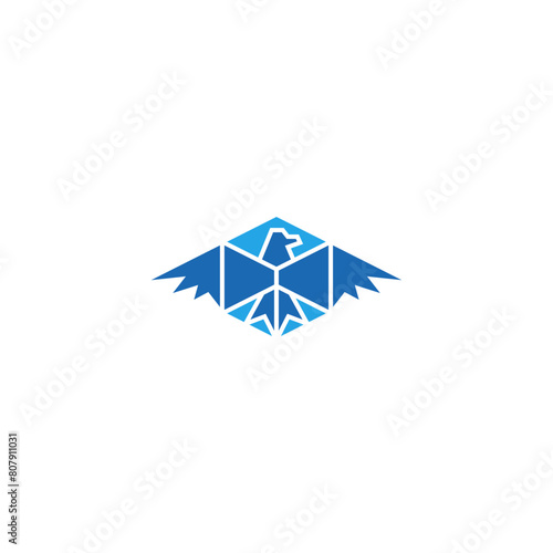 Eagle box air delivery logo design.