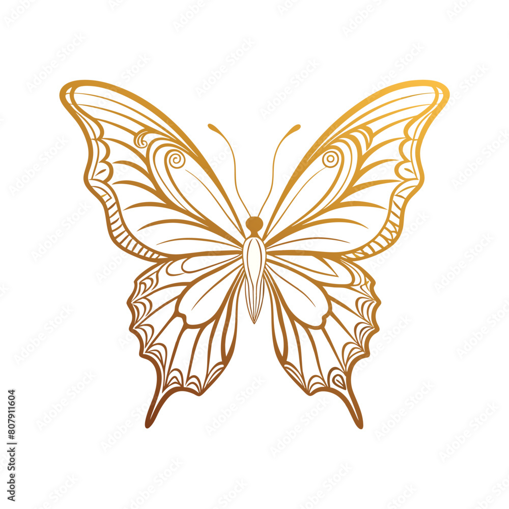 Beautiful gold outline butterfly, vector illustration Beautiful gold outline butterfly, vector illustration