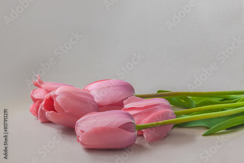 Five pink tulips on a gray background.