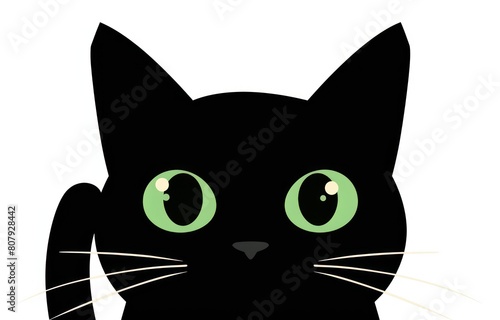 green eyes black cat on color space