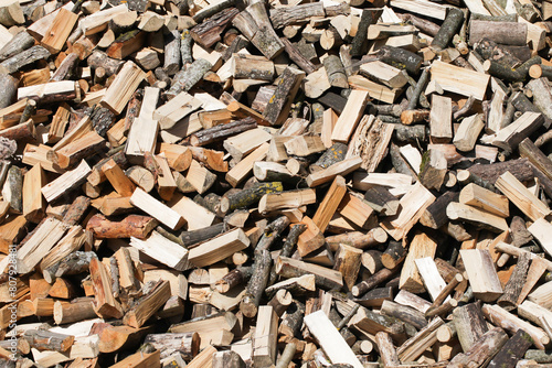 Wood industry background. Chopped wood texture. Stacked tree logs pattern. Pile of raw tree wood in forest. Firewood background. Heat source for winter.