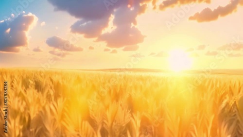 video of a view of a large wheat field photo
