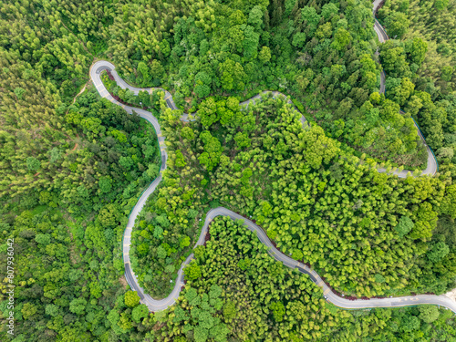 Overview of green bamboo forest and winding mountain road © hrui