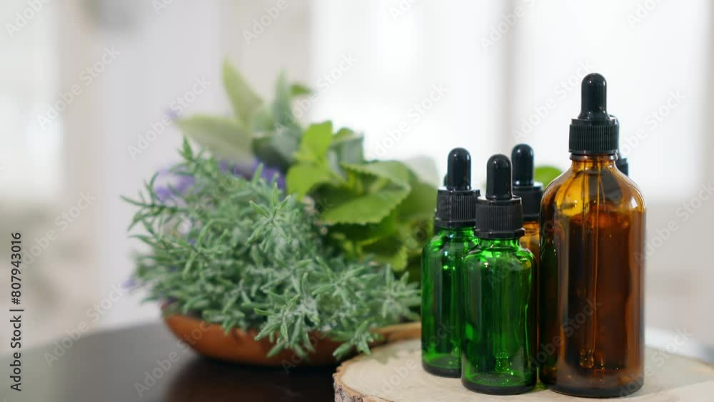 Oil bottle and green herbs. Essential oil. Aromatherapy. Oil bottle and green herbs. Essential oil. Aromatherapy.