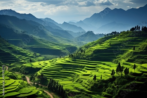 Rwanda landscape. Majestic Green Rice Terraces Amidst Mountain Ranges Under Sunlight.