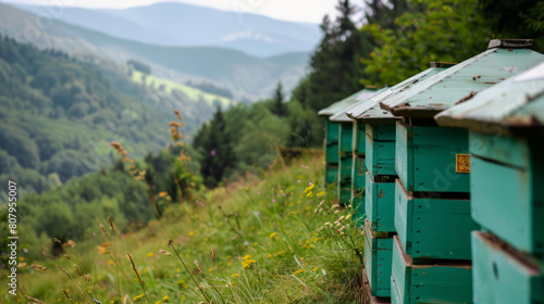 Green beehives in a lush mountain landscape during summer © standret