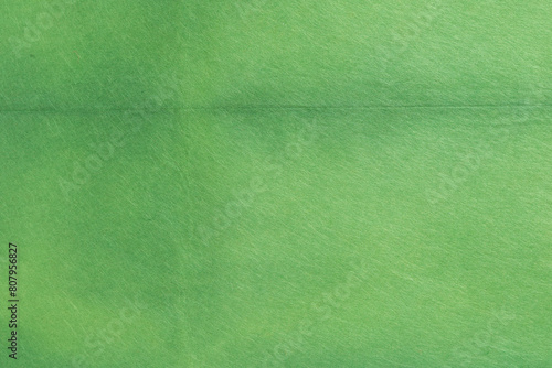 緑色の和紙