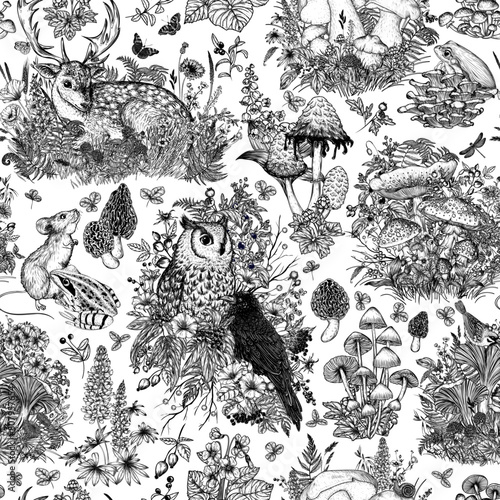 Seamless vector pattern forest flora and fauna. Birds, animals, berries, mushrooms, flowers, plants. Frog, owl, raven, snail, raspberry, blackberry, fly agaric, porcini mushroom, mouse, deer, lupine