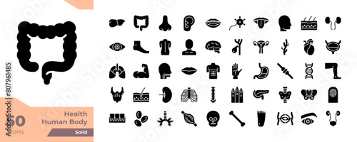 Human Body Solid Icons