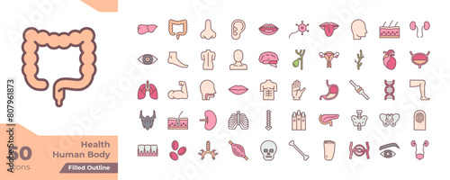 Human Body Filled Color Icons