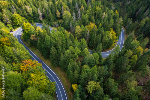 winding mountain road in a green forest (aerial view) photo