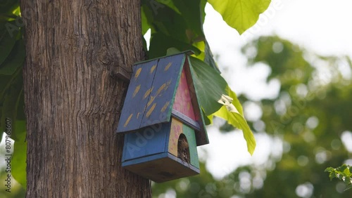 handmade wooden bird house on tree with beautiful bokeh background