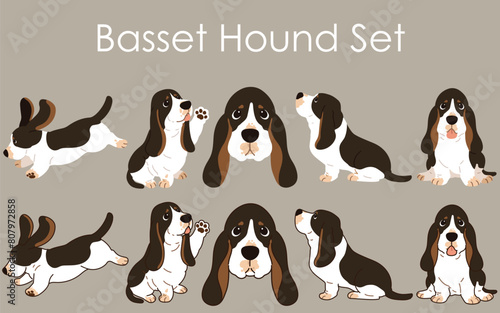 Simple and adorable tri colored Basset Hound illustrations set