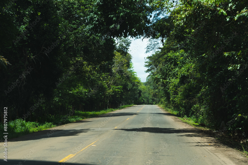 Obraz premium View of a road surrounded by green tropical forest.