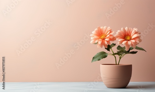 Wallpaper Mural A terracotta pot with a blooming flower, placed against a plain, pastel background, creating a peaceful and inviting space for garden lovers. Torontodigital.ca