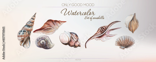 Watercolor vector set of seashells. Aquarium background with shells. Warm beige backdrop.