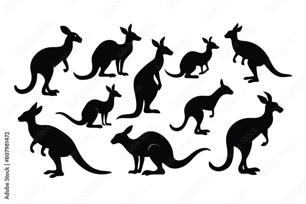 Set of Kangaroo black Silhouette Design with white Background and Vector Illustration