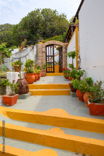 Pots with flowers at the entrance to a typical Greek house on Nisyros island in Greece