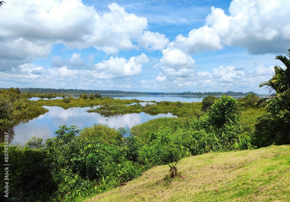 landscape with trees and blue sky landscape with trees and blue sky