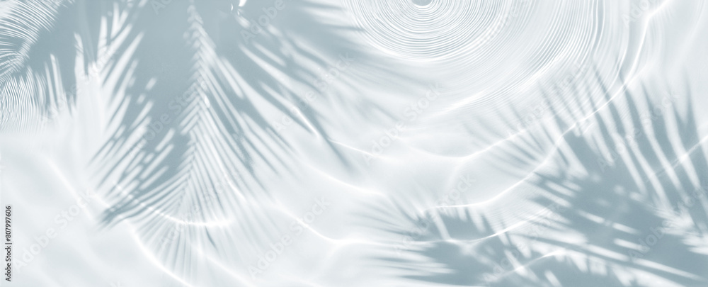 Obraz premium Transparent Shadow Overlay Effect. Palm Leaves, Water Ripples and Sunlight Reflections on transparent Background. Ideal for Product Placement. 
