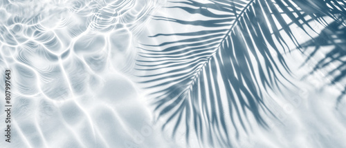 Transparent Shadow Overlay Effect. Palm Leaves, Water Ripples and Sunlight Reflections on transparent Background.  Ideal for Product Placement.  photo
