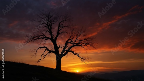 Silhouette of an old tree at sunset with beautiful sky.