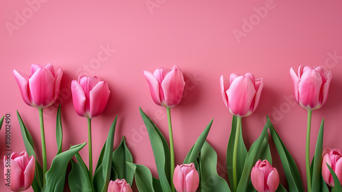 A bouquet of pink tulips is arranged in a vase