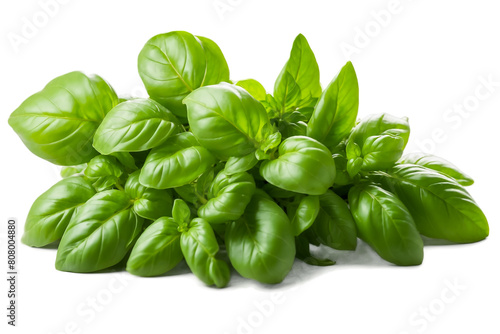 A bunch of basil lies on a white background