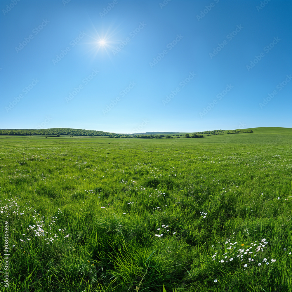 A large field of grass with a bright sun shining down on it
