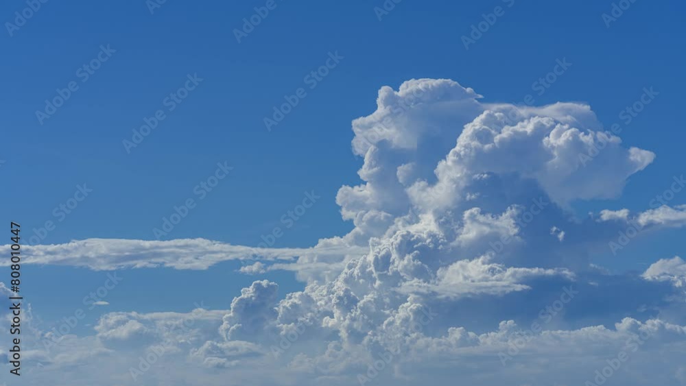 1000_F_808010447_Ei3qKAKhZlamK