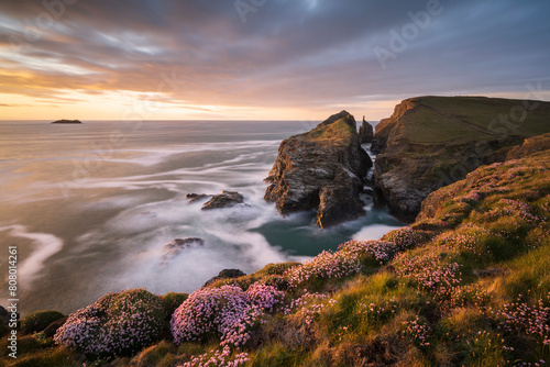 Gunver Head, near Longcarrow Cove, golden evening light and flowering sea pinks/thrift (Armeria maritima), Trevone, Cornwall, UK. May 2021.  photo