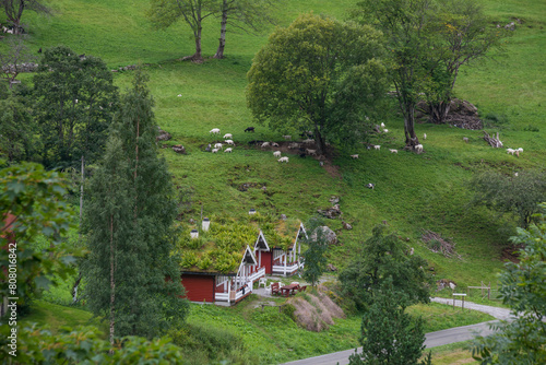 Paisaje con casas rurales en Geiranger, Noruega en un día nublado