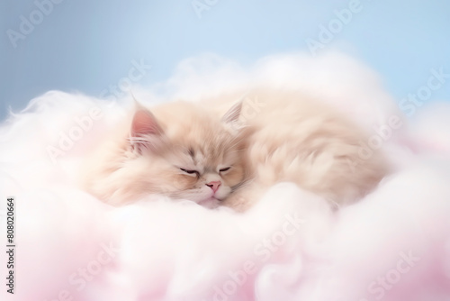 A pastelhued fluffy cat snoozing atop a volumetric lighting cloud, kawaii, dreamy, isolated on white